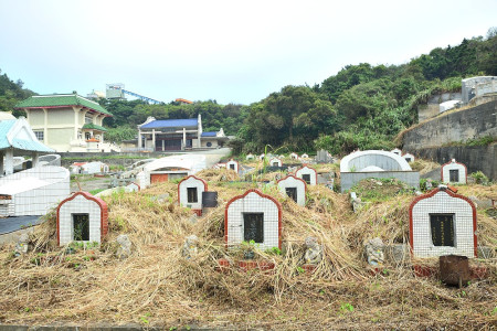 　東引鄉公所回覆因颱風影響及清潔隊員前往台灣參訪，以致延至重陽節當天上午才完成墓區除草作業。（圖︰東引鄉公所提供）