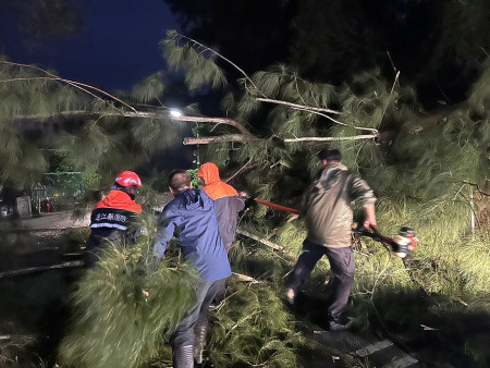 康芮颱風輕掠,連江縣昨天上午11時脫離暴風圈,颱風影響期間統計災損共12件,多為路樹倒塌影響交通。(圖:災害應變中心)