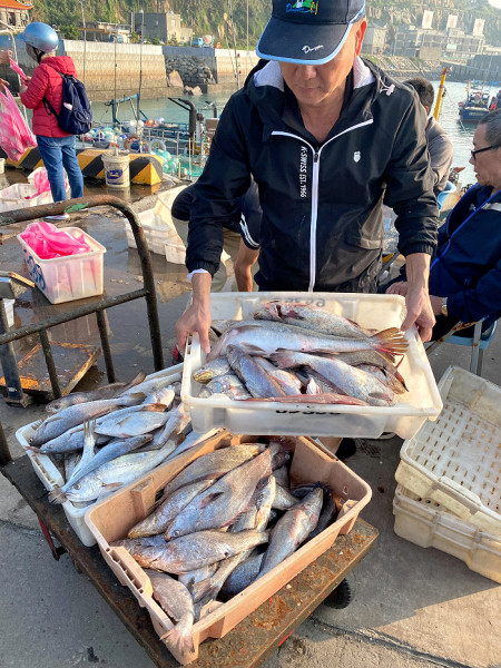 　進入冬季漁汛期，東引近來鮸魚漁獲量略增，吸引不少餐廳業者與民眾購買，漁民還提供協助除鱗清肚的服務。（圖／文：陳其敏）