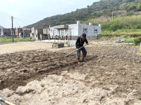 　坂里農民開始整地栽種冬令三寶蔬菜，預估農曆年前第一批收成。（圖／文：陳鵬雄）