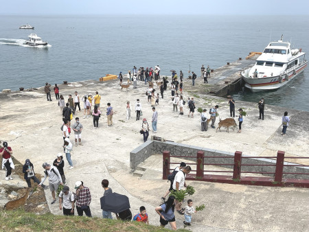 　113年大坵生態之旅南北竿合計5萬4千餘人次，較去年減少約1萬人次。（圖／文：陳鵬雄）