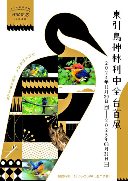 　連江縣政府文化處、東引鄉公所在中路故事館-祥記商店舉辦「東引鳥神林利中攝影展」。（圖：東引鄉公所提供）