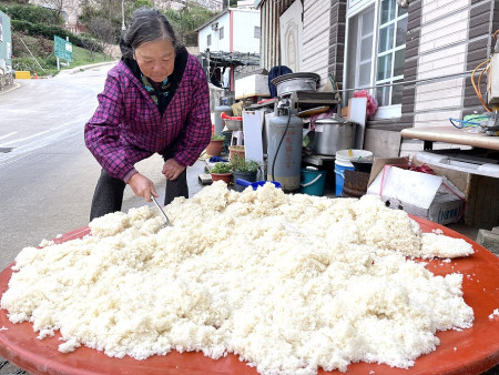 　大陸高壓帶來冷風，地區各村民眾也開始釀老酒。（圖／文：陳鵬雄）