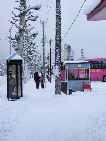 日本北海道雪域街景。