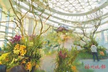 如夢似幻的蘭花溫室。