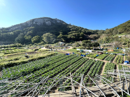 　北竿塘岐怡園是位在蛋黃區內的農田，地方各界看好做為示範住宅用地。（圖／文：陳鵬雄）