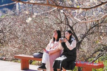 永泰溪洋村,遊客在花叢中用無人機自拍。