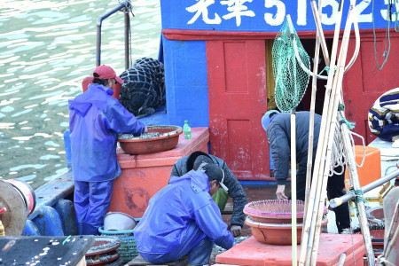 　在東引中柱港工作的30名大陸籍、東南亞籍漁工，今年春節持續留守東引過新年。（圖／文：陳其敏）