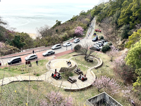 勝天公園櫻花嬌豔綻放,連假賞櫻人潮絡繹不絕。(圖/文:馮紹夫)