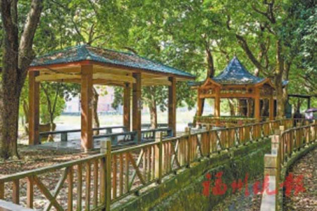 古樹公園。