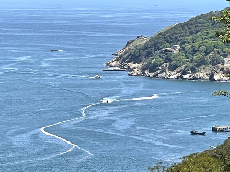 　近日氣溫及海溫偏低淚況不佳，預估4月中旬以後開始好轉。（圖：本報資料室）
