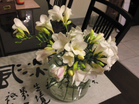 小蒼蘭