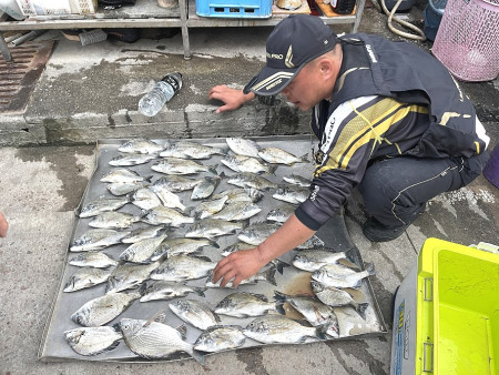 西莒陳姓釣客3斤黑鯛上鉤,釣況不錯,開心極了。(圖/文:宋幸儒)