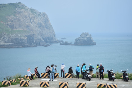 　東引圓圓澳海面上，22日發現黑尾鷗蹤影，吸引不少鳥友駐足觀看。（圖／文：陳其敏）