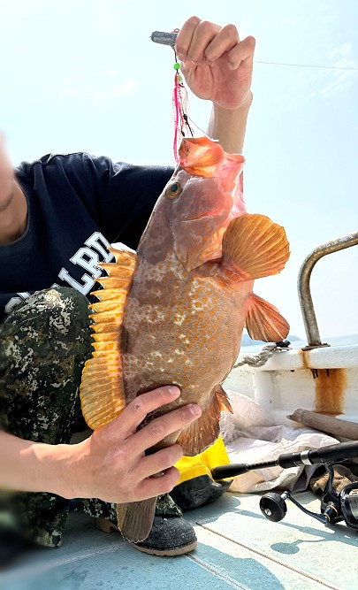 春暖魚躍！東莒1.7公斤赤點石斑出水
