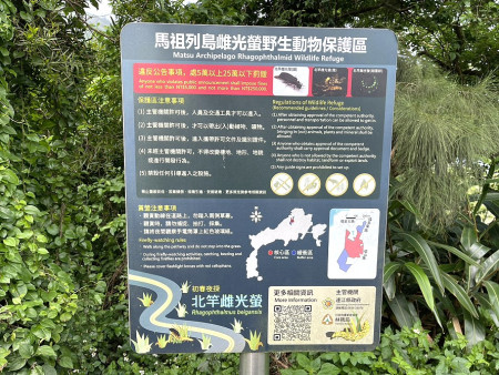 北竿特有的北竿雌光螢出沒,旅遊民宿業者建議擴大推廣及復育。(圖:北竿民宿業者)