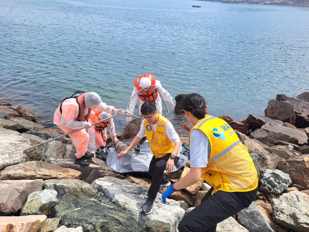 南竿山隴海堤發現死亡寬脊露脊鼠海豚,縣府聯合各單位打撈後,計畫將遺體運往台灣進行研究。(圖:產發處)