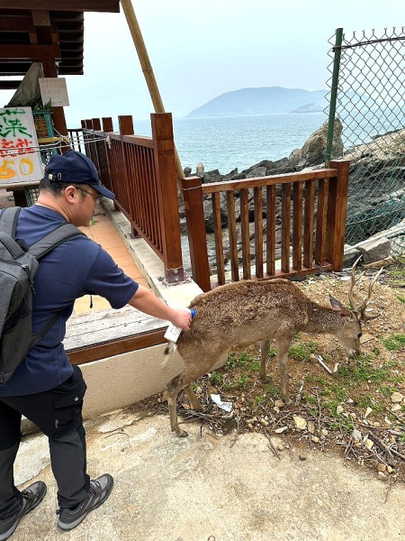 產發處派員進行大坵島梅花鹿壁蝨防治作業,同時辦理監視器設施會勘加強遊客登島旅遊安全。(圖:縣府產發處)