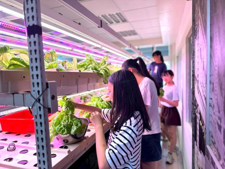 介壽國中小科技農場豐收,校長與學生代表攜愛心蔬菜送暖大同之家。(圖:介壽國中小)
