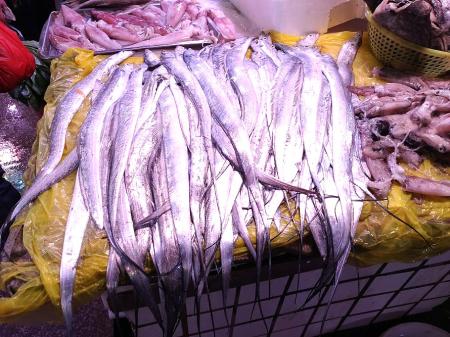 帶魚