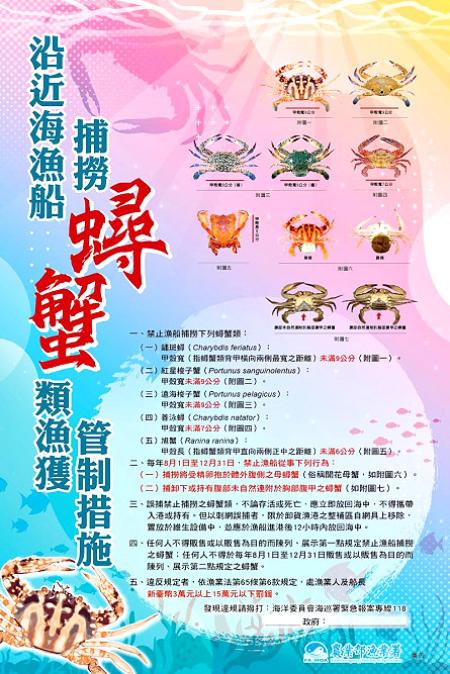 8月至12月是蟳蟹類重要繁殖期，禁止漁船捕撈抱卵母蟹，卸下、持有腹甲離身之蟳蟹及禁止任何人販售或以販售為目的而陳列、展示抱卵母蟹及腹甲離身之蟳蟹，違反捕撈及販售規定者最高可罰新臺幣15萬元。（圖：漁業署）