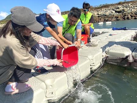 海大於馬鼻灣舉辦魚苗放流活動，參與者齊心將魚苗放入海中，展現守護海洋與推動永續發展的行動力。（圖／文：鄭禮頤）