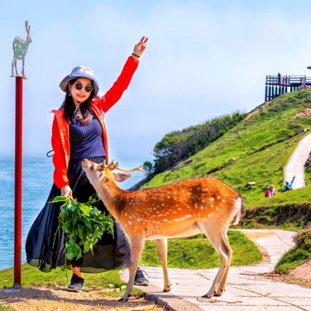 2025大坵梅花鹿攝影比賽，陳小美《可愛的梅花鹿》獲評審首獎。（圖：交旅局）