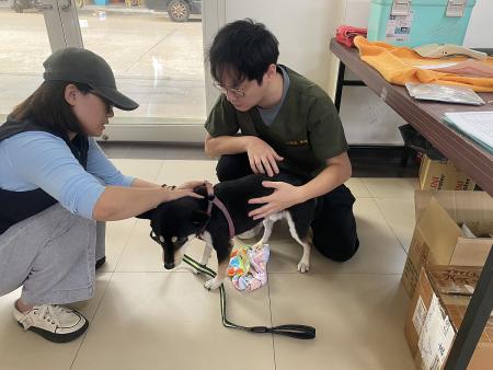 獸醫團隊於現場替犬貓進行健康檢查、施打疫苗與相關診療，醫療人員細心處置，讓飼主安心就醫。（圖／文：鄭禮頤）