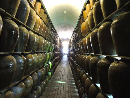 埔里酒甕隧道。