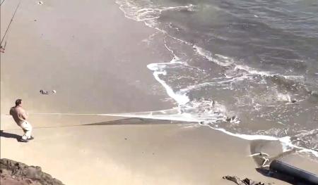 牛角海邊湧現大批烏魚，吸引眾多鄉親攜網帶竿前往捕撈、垂釣，人人滿載而歸。（圖：讀者提供）