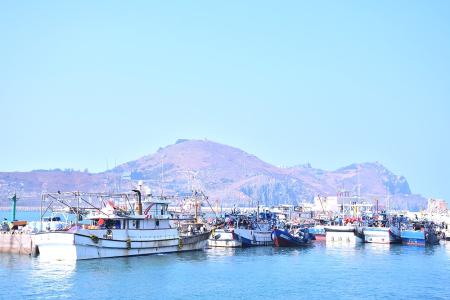 來自台灣本島的十餘艘捕烏魚漁船，8日陸續返回中柱港避風，其中一艘漁船已捕獲數百尾烏魚，漁工也趁著靠岸時間進行漁獲的冷藏保鮮工作。（圖／文：陳其敏）