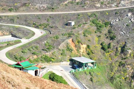 東、西引島「烈女義坑」、后澳、清水澳一帶海岸山坡上的油菊稀落綻放，不見往年滿山金黃的盛景。 （圖／文：陳其敏）