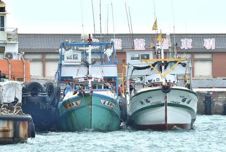 今年入冬以來低溫不明顯，烏魚群南下時間延後，東引中柱港仍見多艘台灣本島船停靠，繼續等待。（圖／文：陳其敏）