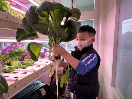 介壽職探中心與幼兒園共襄盛舉贈送鮮蔬予大同之家