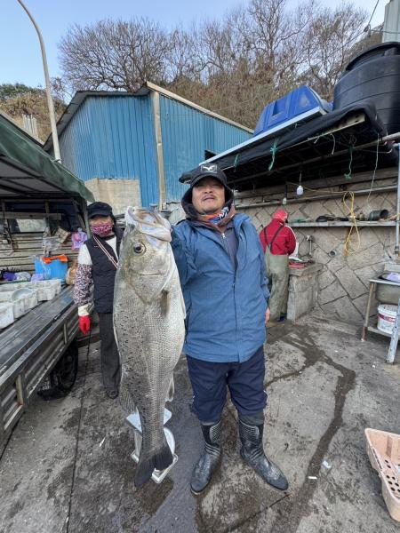 北竿橋仔漁港今（8）日出現亮眼漁獲，在地漁民捕獲近二十斤大型鱸魚。（圖：漁民提供/文鄭禮頤）