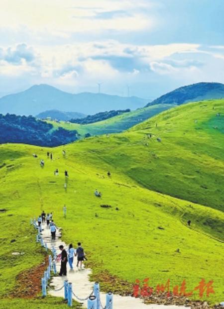 大姆山高山草場吸引了不少遊客。