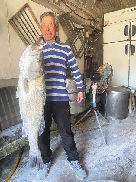 資深釣手王喜官昨（14）日釣獲18斤七星鱸魚，笑說「釣到90歲就好！」。（圖／文：蔡夢玲）