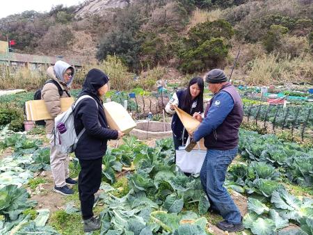 守護食安從源頭做起，農會配合縣府、農糧署抽檢「馬祖冬季三寶」，落實源頭管理。（圖：連江縣農會）