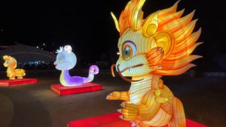 鷗霸、Yah鷗迎新春　馬祖燈會閃亮點燈。（圖與文：馮紹夫）