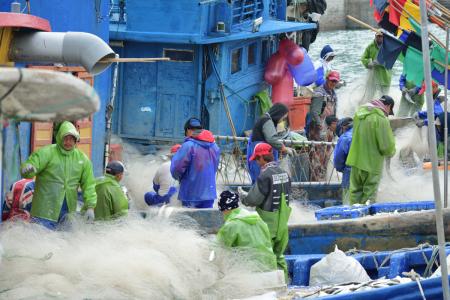 年味在港邊蔓延　東引40餘位外籍漁工留守異鄉迎新春