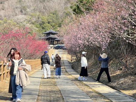 櫻花野餐健走活動報名額滿