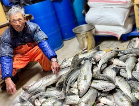 鱸魚大咬　東莒豆腐哥王喜官釣獲兩百斤