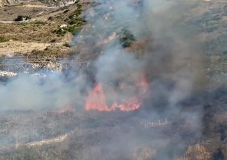 東莒垃圾場野火　警義消到場控制火勢
