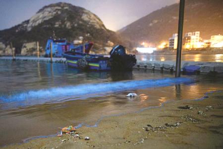 北竿馬鼻灣迎來首波藍眼淚　揭開「追淚」序幕