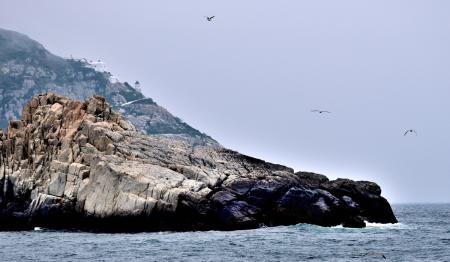 東引年度觀光活動起跑　展現多元魅力