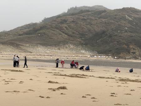 東莒福正沙灘出現挖沙蛤人潮