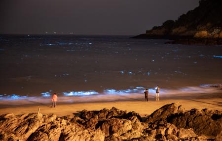 藍眼淚季　南竿夜間路燈部份區段關燈