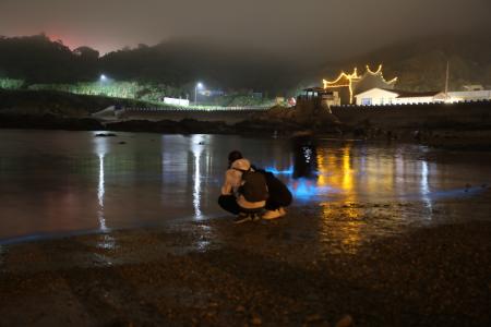 南竿鄉公所為配合夜間藍眼淚觀賞，自即日起至7月31日止實施部份區段路燈夜間關燈措施。（圖：王建華提供）
