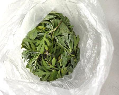 違規攜農產品入境　清明連假小三通裁罰3件