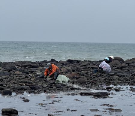 遊客展示當天挖到的花蛤，開心合影；鄉親在潮間帶耐心挖花蛤，動作熟練。（圖／文：蔡夢玲）